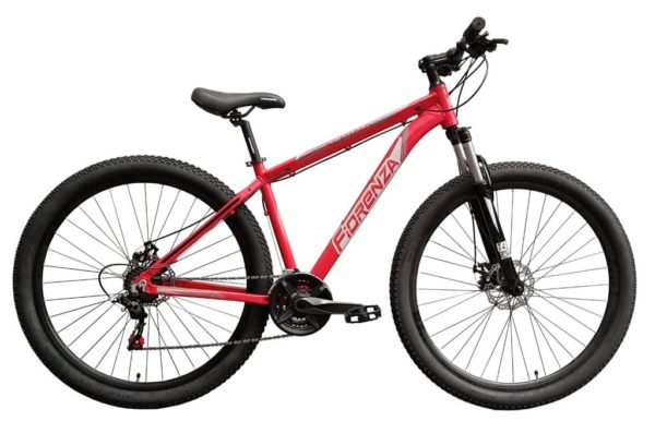 BICICLETA FIORENZA 661 R29